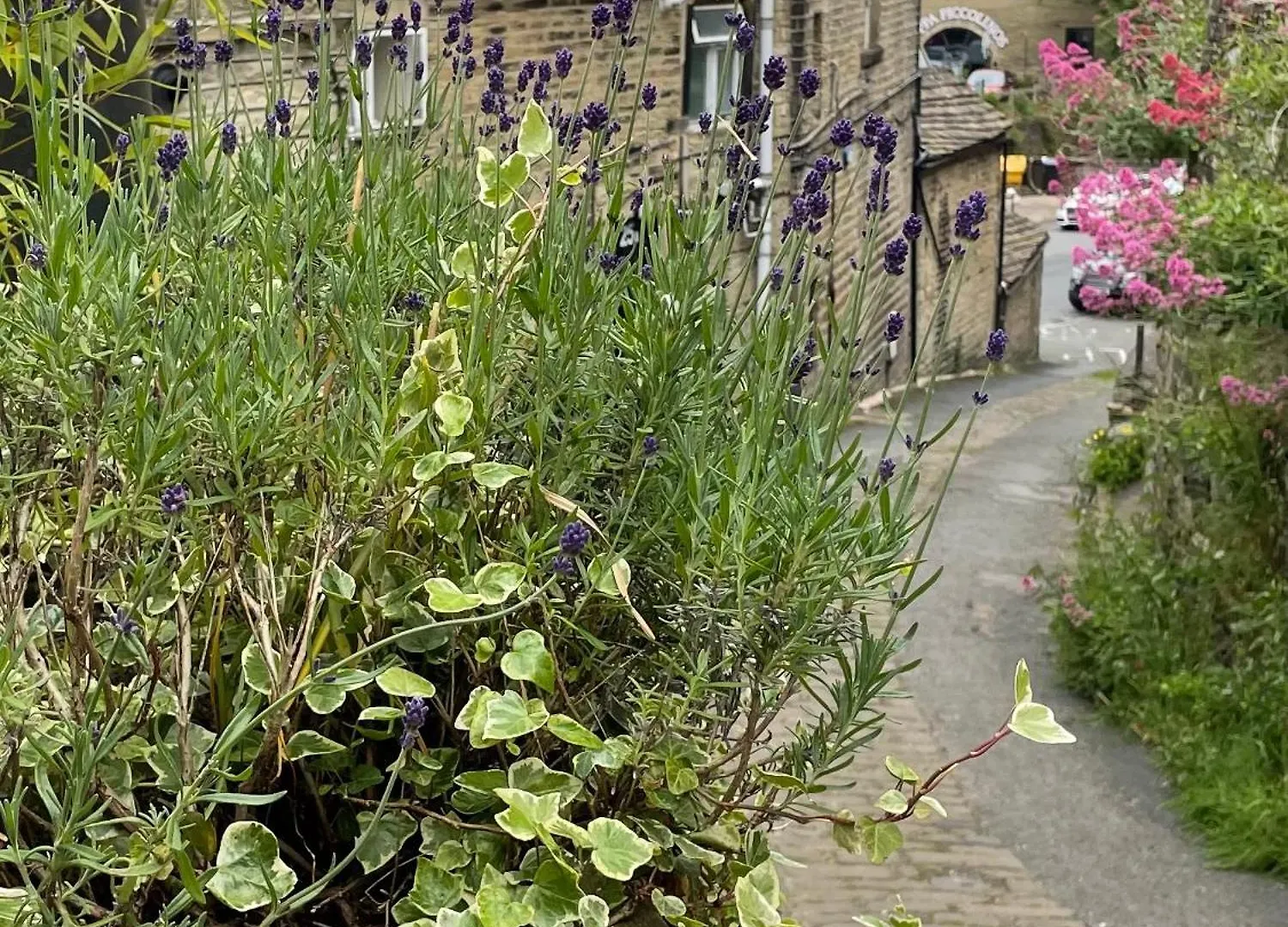 The Therapy Rooms Holmfirth Holiday Let 0*,  Royaume-Uni
